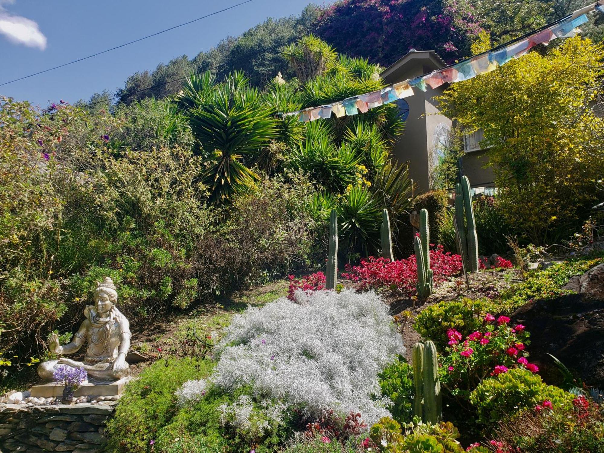 Twelve Hummingbirds Andes Retreat Hotel Paute ภายนอก รูปภาพ