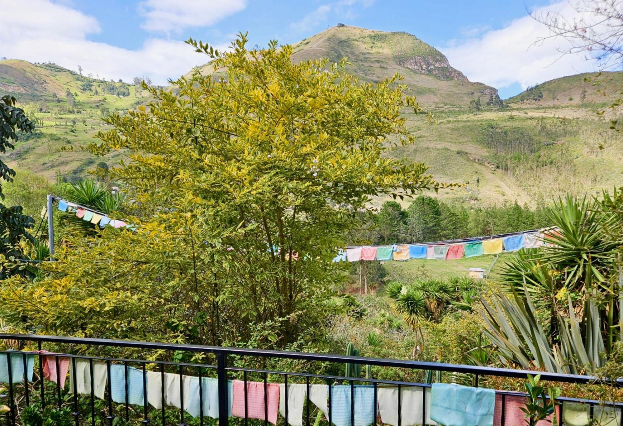 Twelve Hummingbirds Andes Retreat Hotel Paute ภายนอก รูปภาพ
